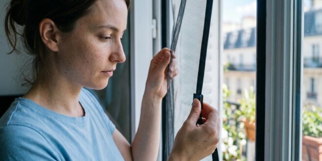 Tuxboard - Fini les moustiques dans la maison cet été : Lidl remet en vente ce produit à prix mini qui change tout