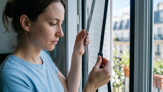 Tuxboard - Fini les moustiques dans la maison cet été : Lidl remet en vente ce produit à prix mini qui change tout