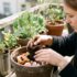 Tuxboard - Potager récup sur TikTok : ce geste viral que tout le monde copie fait mourir les tomates en silence