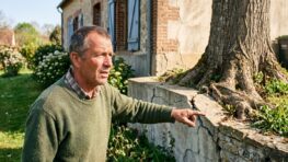 Tuxboard - Cet arbre planté trop près a coûté 20 000 € de fondations à son propriétaire