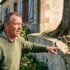 Tuxboard - Cet arbre planté trop près a coûté 20 000 € de fondations à son propriétaire