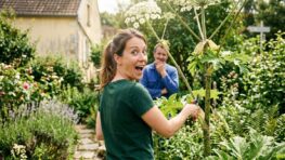 Tuxboard - Cette plante dans le jardin peut vous valoir 3 ans de prison et 150 000 € d'amende en France