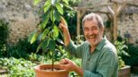 Tuxboard - « L'erreur que font la majorité des gens » : ce jardinier a planté un noyau d'avocat et obtenu 3 mètres en 4 ans