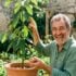 Tuxboard - « L'erreur que font la majorité des gens » : ce jardinier a planté un noyau d'avocat et obtenu 3 mètres en 4 ans