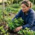 Tuxboard - Fini les rats au potager : cette plante aromatique du jardin les fait fuir sans aucun produit chimique