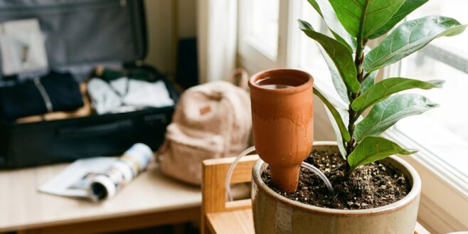 Tuxboard - Ce dispositif IKEA à 9,99€ pour deux garde vos plantes hydratées pendant toutes vos absences de l'été