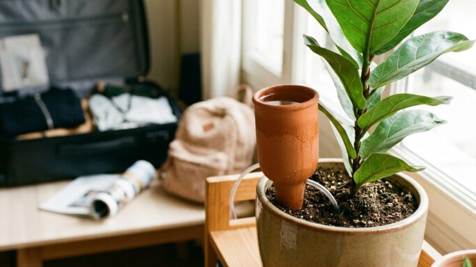 Tuxboard - Ce dispositif IKEA à 9,99€ pour deux garde vos plantes hydratées pendant toutes vos absences de l'été