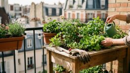 Tuxboard - Cette table de culture Lidl à 29,99€ transforme un balcon en mini-potager