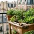 Tuxboard - Cette table de culture Lidl à 29,99€ transforme un balcon en mini-potager