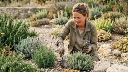 Tuxboard - Cette paysagiste dévoile les plantes qui résistent aux fortes chaleurs sans arrosage
