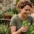 Tuxboard - Cette plante aromatique au parfum citronné fait fuir les moustiques mieux que la citronnelle